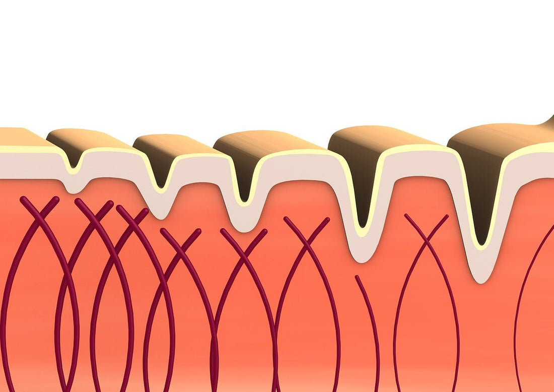 Collagen Peptide supplement for skincare and health - Sharrets Nutritions LLP