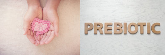 Fructooligosaccharides Prebiotic- Sharrets Nutritions