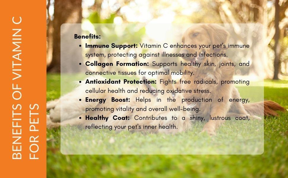Vitamin C L ascorbic acid for Pets - Sharrets Nutritions LLP
