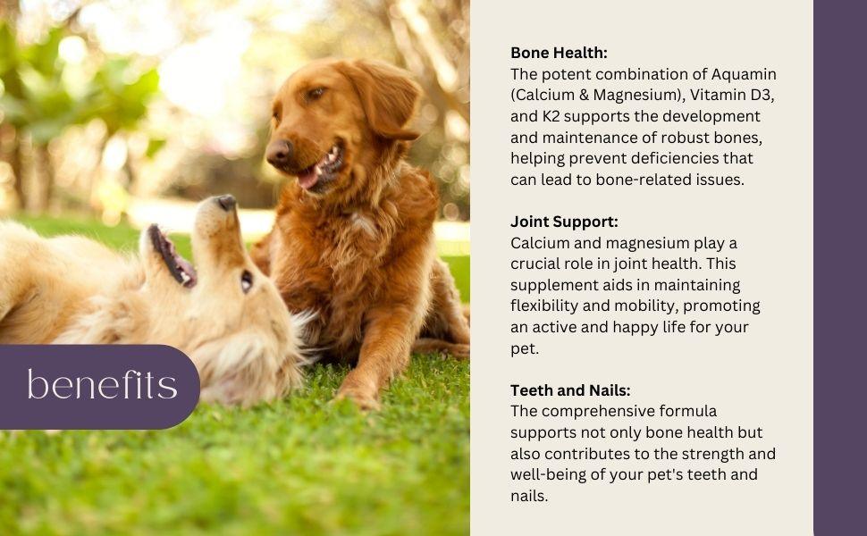 Benefits of calcium supplement for dogs and cats with vitamin D3 and K2 supporting bone health joints teeth and nails