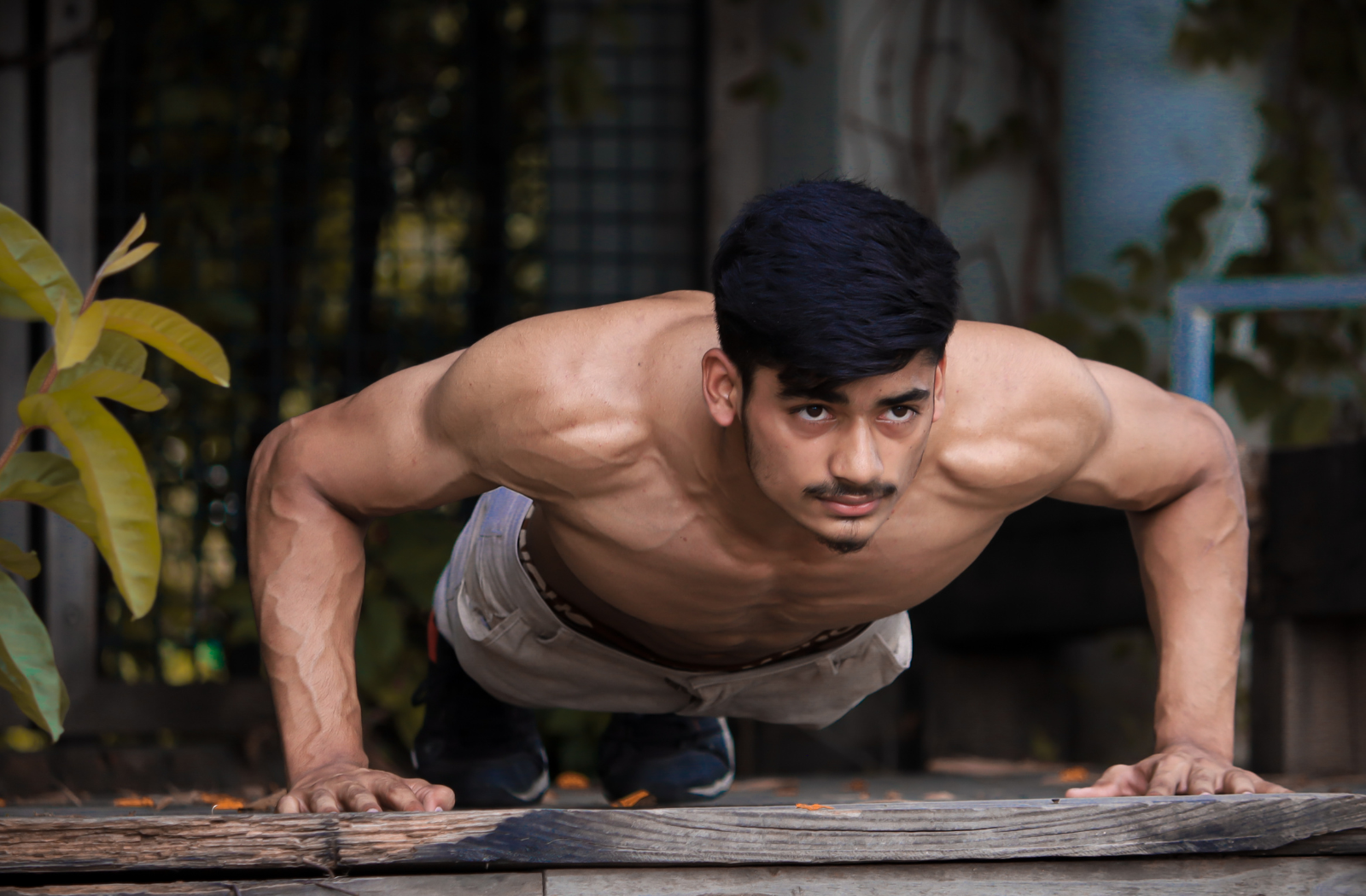 sharrets egg white protein for body building