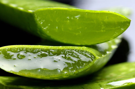 What are the health benefits of drinking aloe vera juice ? - Sharrets Nutritions LLP