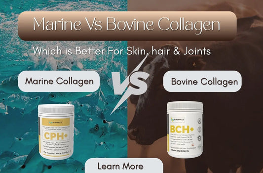 Marine vs Bovine Collagen: Which is Better for Skin, Hair & Joints?