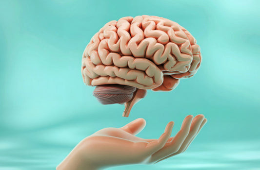 MCT Oil Benefits for Brain Health