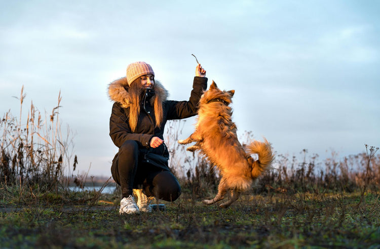 Protein & Performance Supplements for Pets & Animals- Sharrets Nutritions