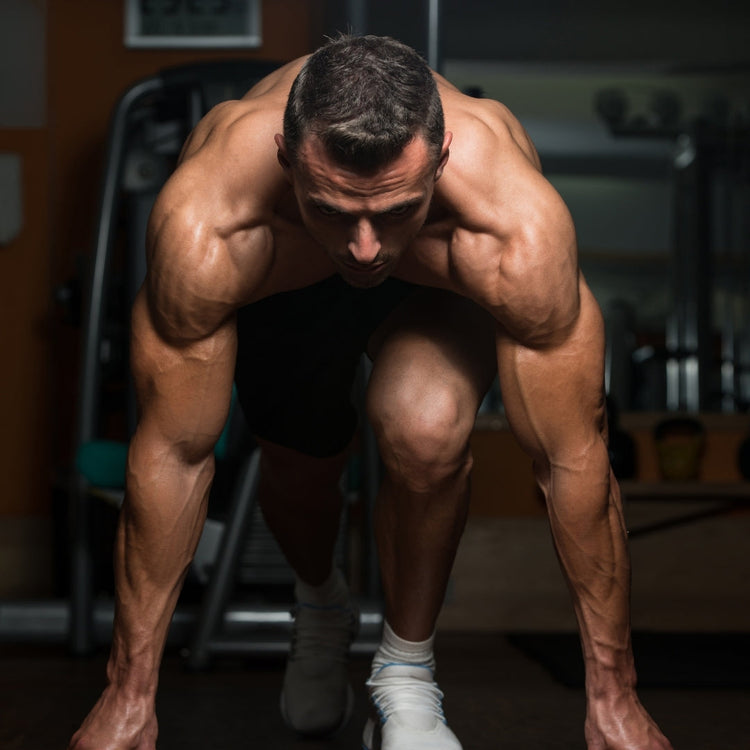 Protein and sports supplements- Sharrets