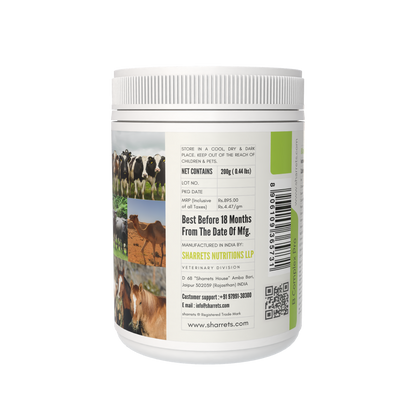 B Complex Pro Powder for Cows, Buffaloes, Horses & Camels