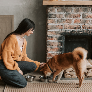 Pet Supplements for Dogs & cats in India