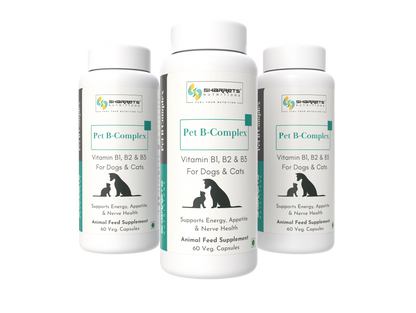 Three bottles of Pet B-Complex supplement for dogs and cats on a white background