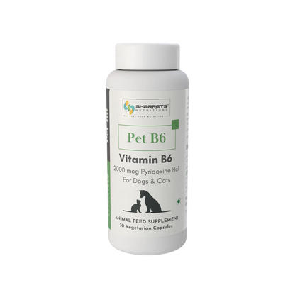 Vitamin B6 Pyridoxine for Dogs & Cats | Sharrets Pet B6