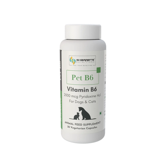Vitamin B6 Pyridoxine for Dogs & Cats | Sharrets Pet B6