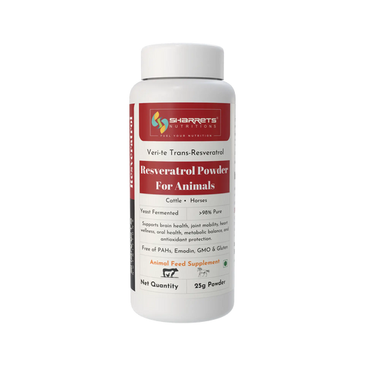 Trans-Resveratrol Powder for Livestock – Antioxidant Feed Supplement for Cattle & Horses