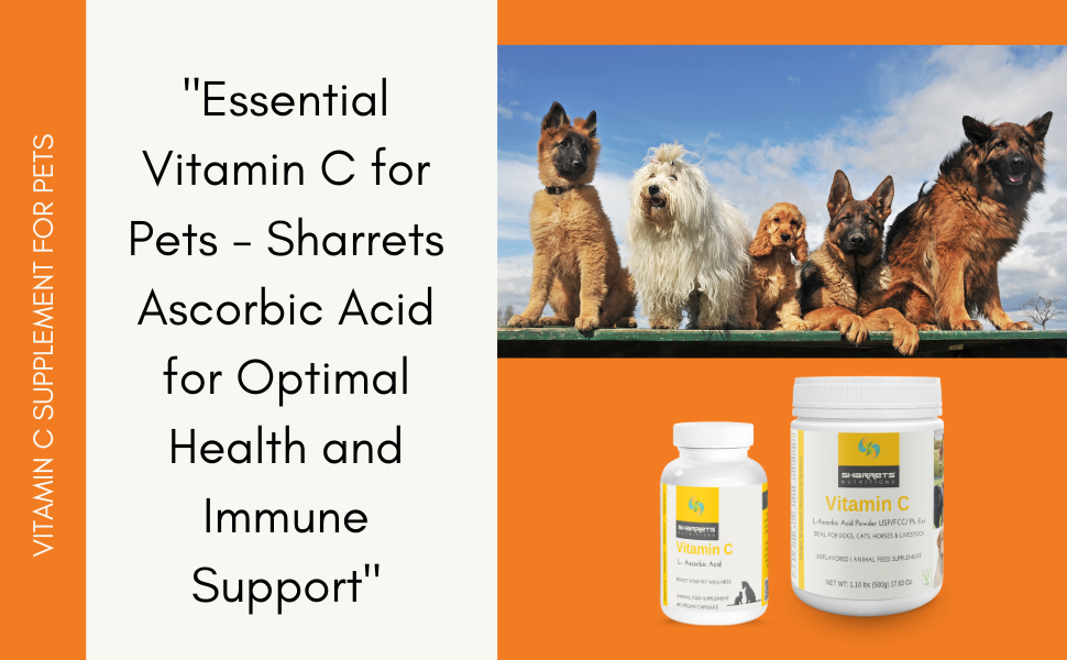 Vitamin C L-Ascorbic Acid Capsules & Powder for Pets