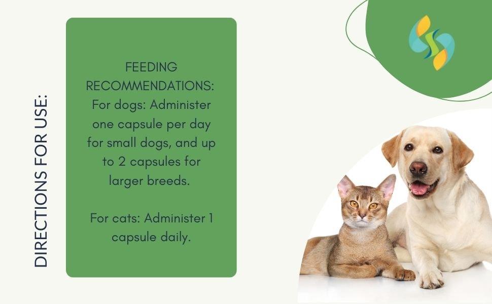 Ashwagandha supplement feeding directions for dogs and cats showing recommended capsule dosage for pets