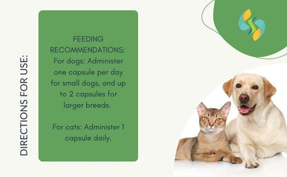 Ashwagandha supplement feeding directions for dogs and cats showing recommended capsule dosage for pets