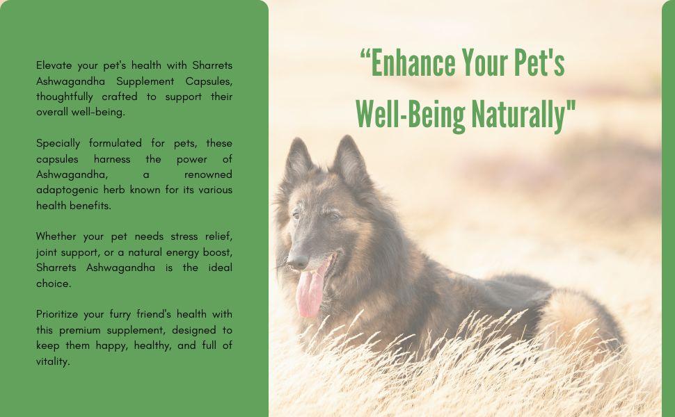 Ashwagandha pet supplement supporting natural stress relief wellness and vitality in dogs and animals