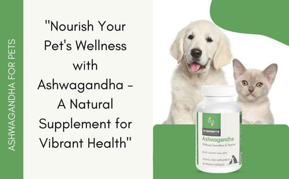 Sharrets Ashwagandha supplement for dogs and cats supporting natural pet wellness stress relief and vitality