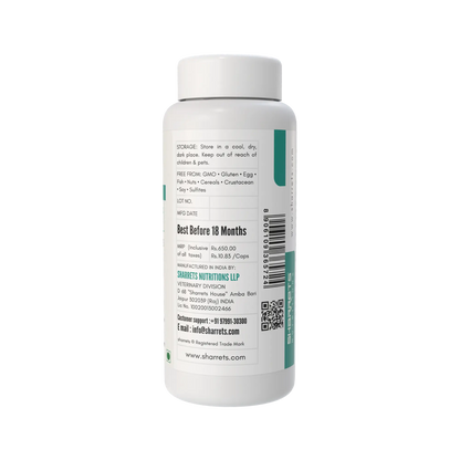 Vitamin B complex capsules for dogs and cats 60 capsules pet vitamin supplement supporting energy metabolism and nerve health