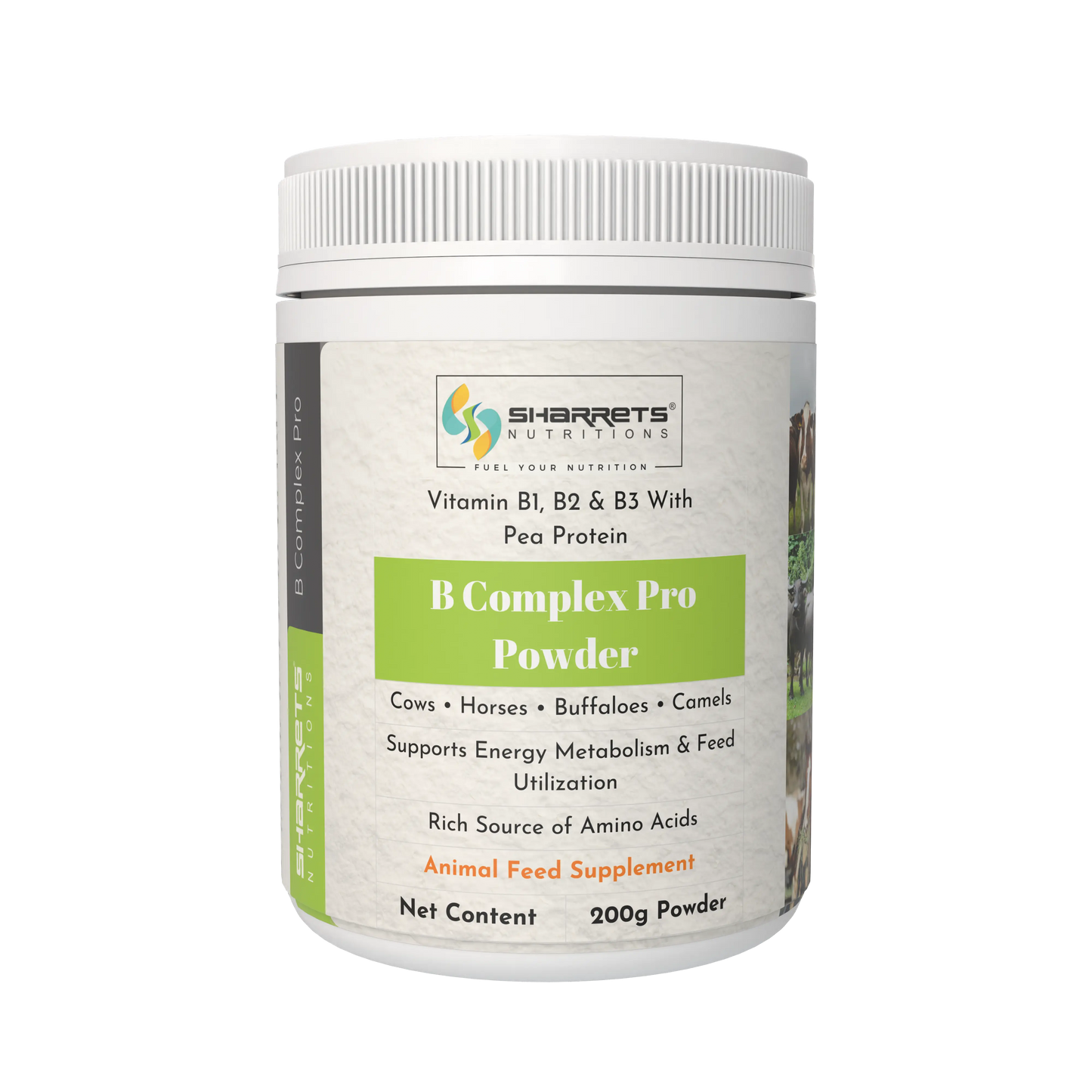 B complex pro powder for cows buffaloes horses and camels 200g vitamin B supplement for livestock health and energy