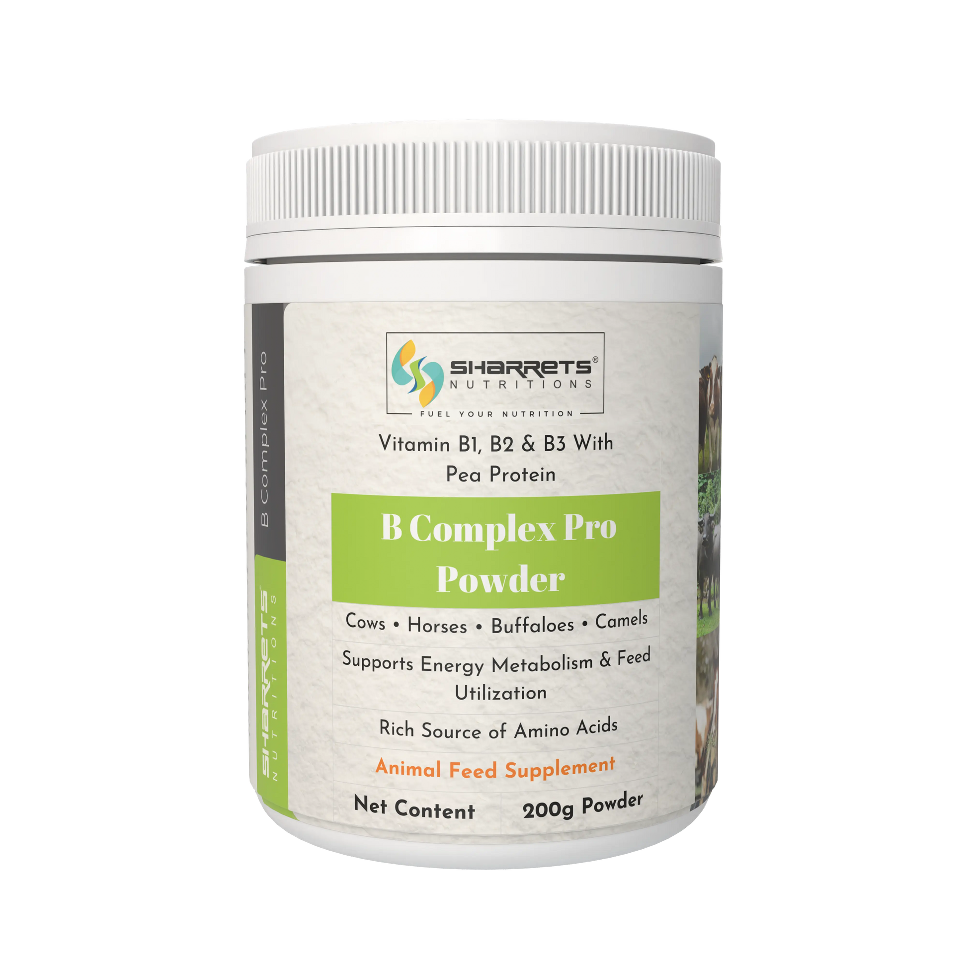 B complex pro powder for cows buffaloes horses and camels 200g vitamin B supplement for livestock health and energy