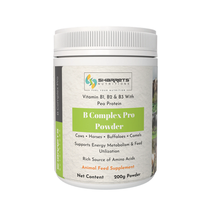 B complex pro powder for cows buffaloes horses and camels 200g vitamin B supplement for livestock health and energy