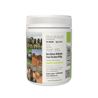 Product information and manufacturer details of B complex pro powder for cows buffaloes horses and camels 200g