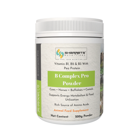 B Complex Pro Powder for Cows, Buffaloes, Horses & Camels