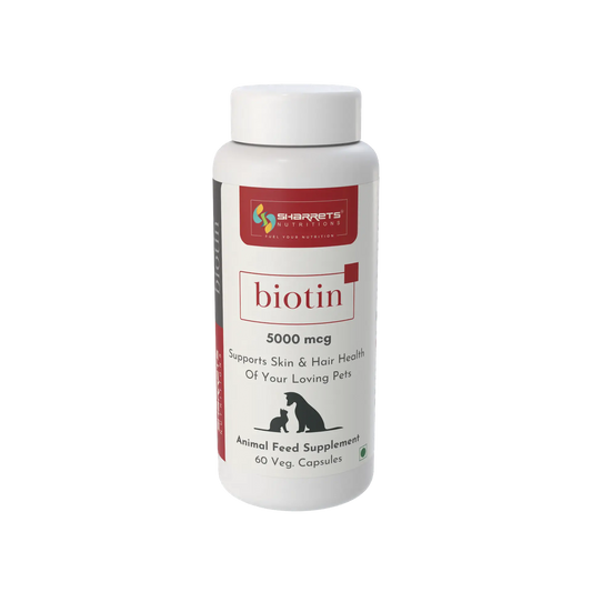 Biotin supplement for dogs and cats 5000 mcg capsules for skin, coat and nail health – 60 capsules