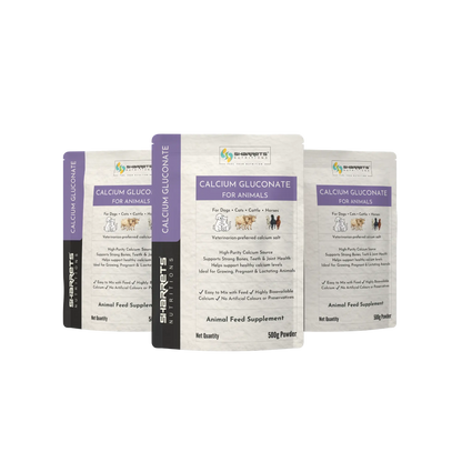 Calcium Gluconate Powder for Animals – Highly Bioavailable Calcium Supplement for Cattle & Horses