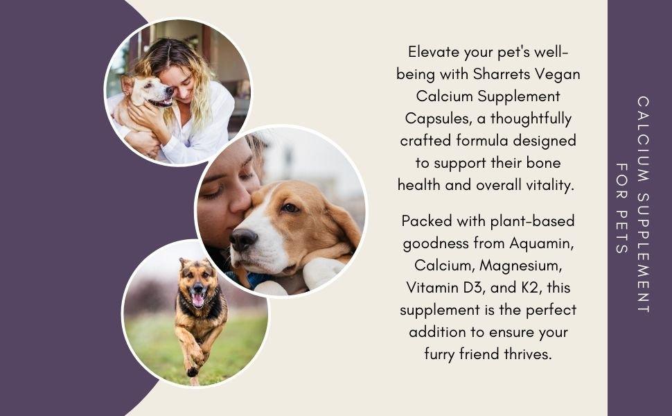 Calcium supplement for dogs and cats with vitamin D3 and K2 supporting strong bones teeth and overall pet health
