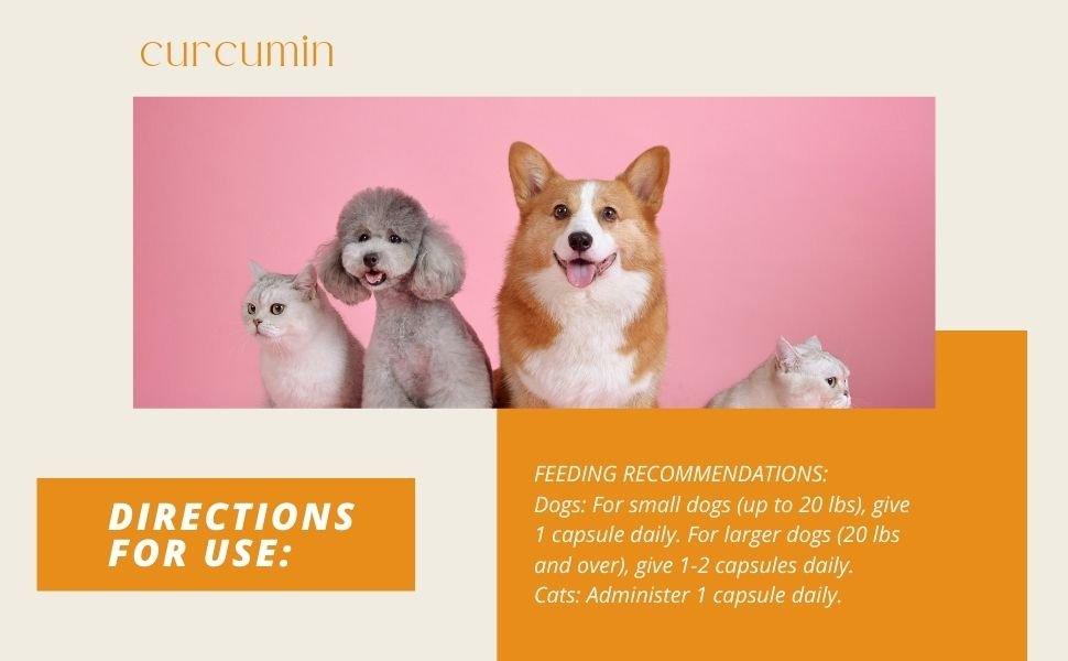 Dosage guide for curcumin piperine capsules for dogs and cats showing recommended daily use