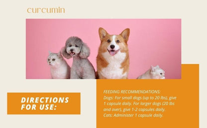 Dosage guide for curcumin piperine capsules for dogs and cats showing recommended daily use