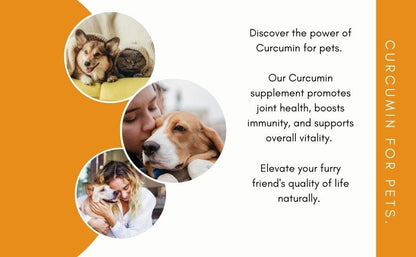Benefits of curcumin turmeric supplement for dogs and cats supporting joint health inflammation relief and immunity