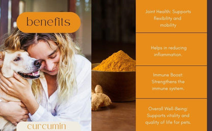 Benefits of curcumin turmeric supplement for dogs and cats supporting joint health inflammation relief and immunity