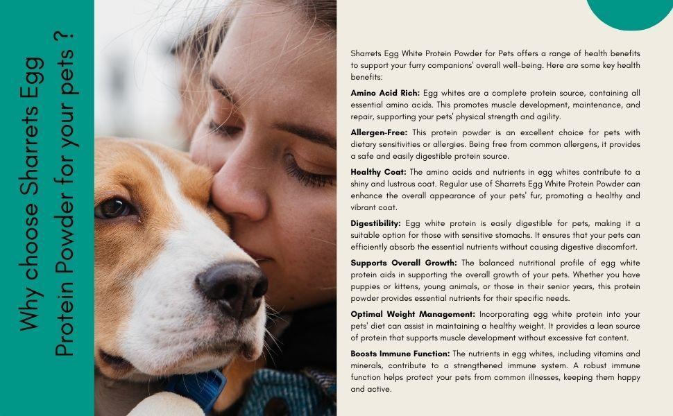 Egg white protein powder for dogs and cats showing benefits like amino acid support, healthy coat, digestion and immune health