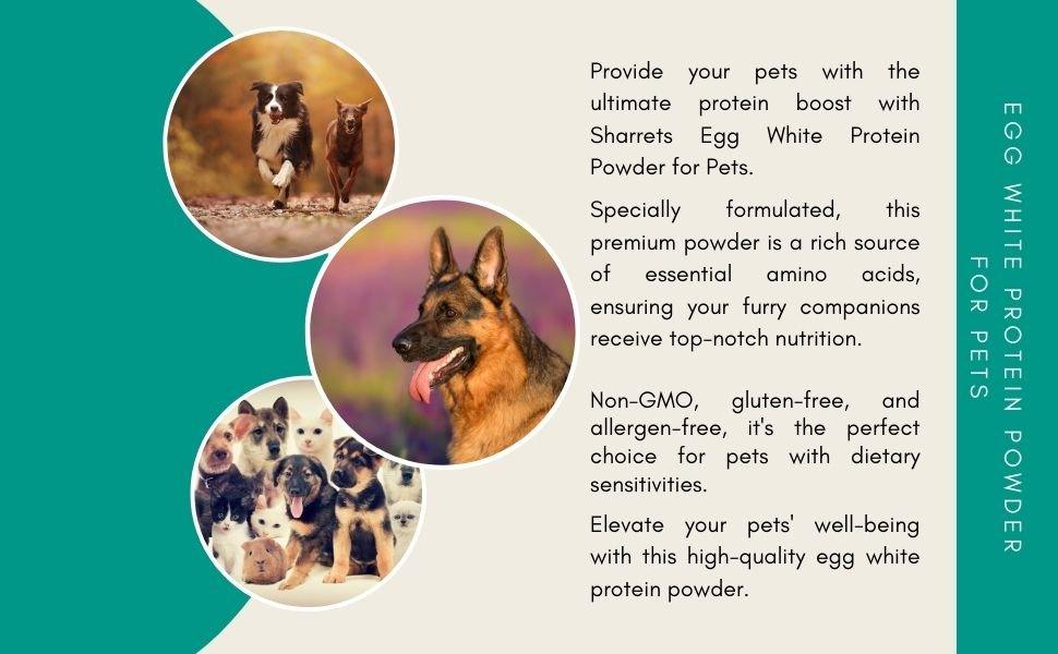 Egg white protein powder for dogs and cats providing essential amino acids and high quality protein for pet nutrition