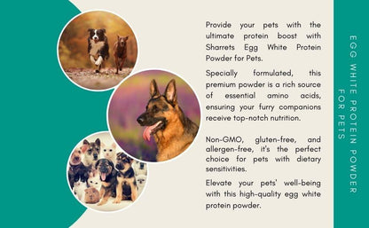 Egg white protein powder for dogs and cats providing essential amino acids and high quality protein for pet nutrition