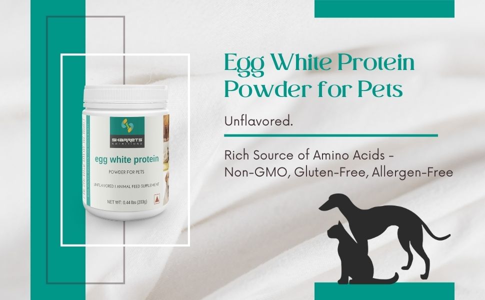 Egg White Protein Powder For Pets 