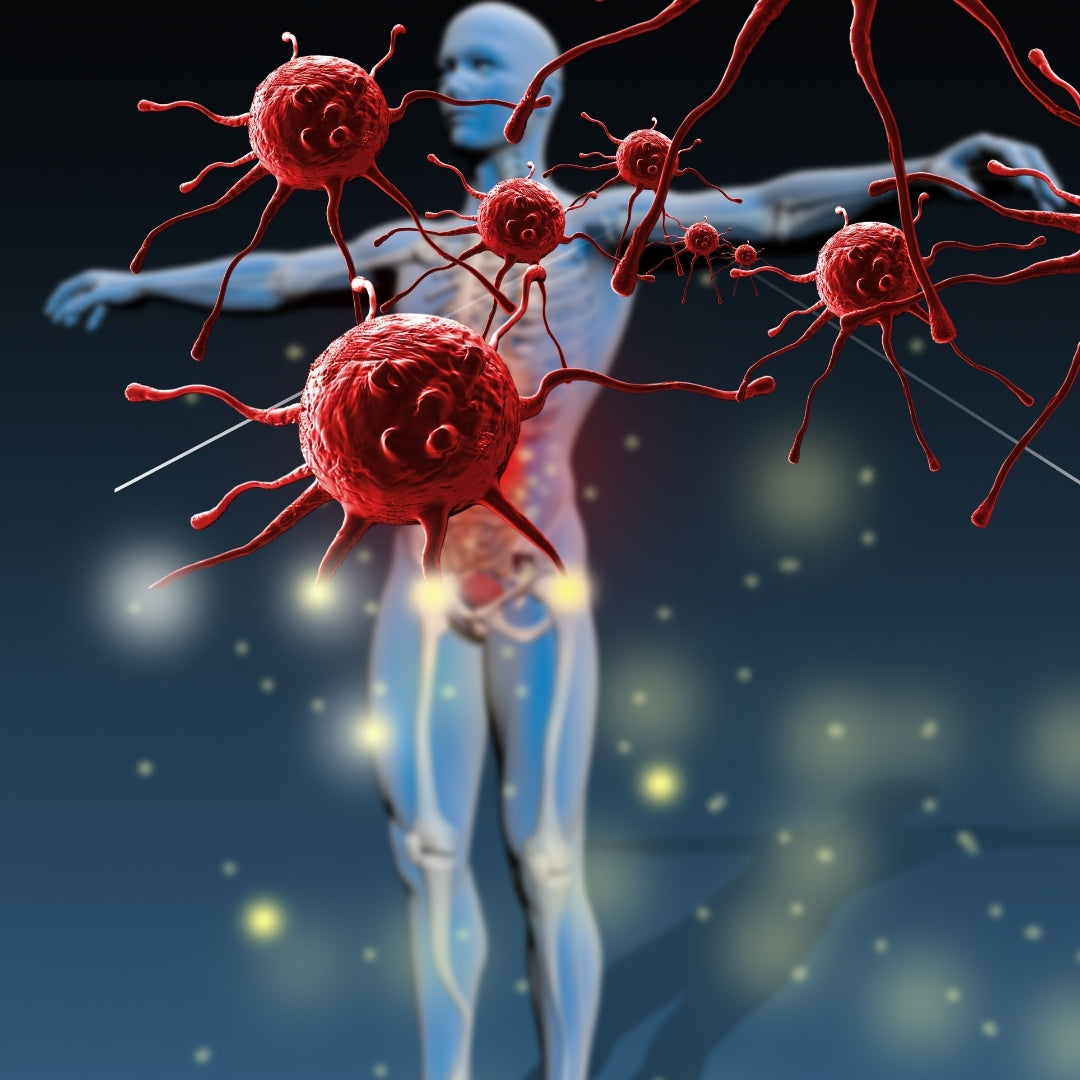 Best Supplements for Immunity & Wellness in India- Sharrets Nutrtions