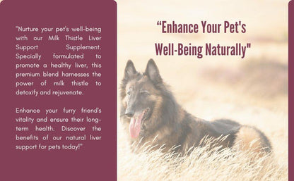 Milk Thistle Liver Support Supplement for Dogs – Silymarin Pet Liver Detox Support