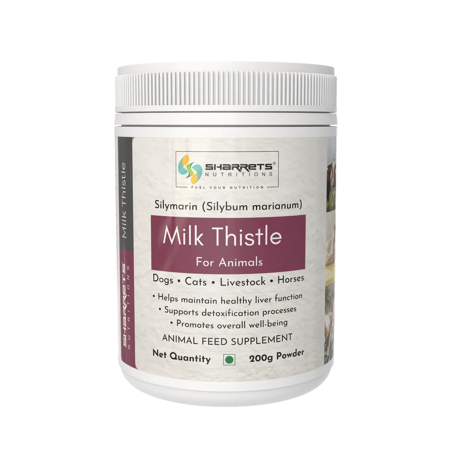 Milk Thistle Powder for Dogs Cats Horses and Livestock – Silymarin Liver Support Supplement 200g