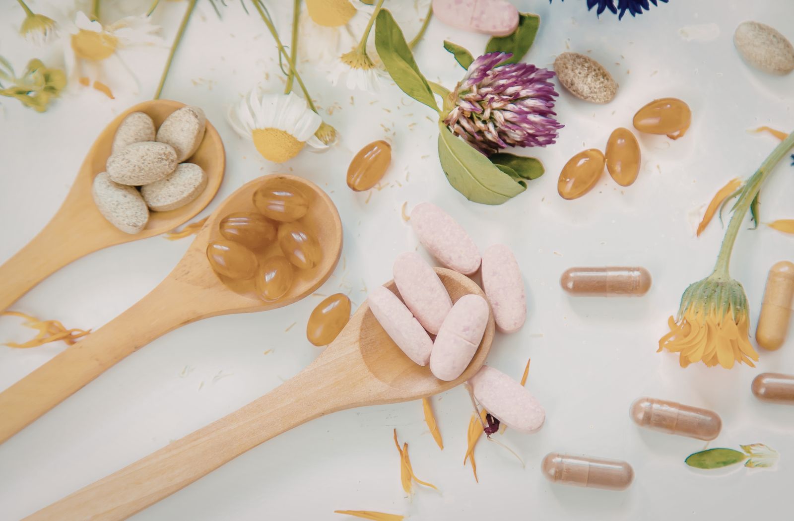 New Arrivals – Latest Health, Food & Pet Nutrition Products - sharrets nutritions
