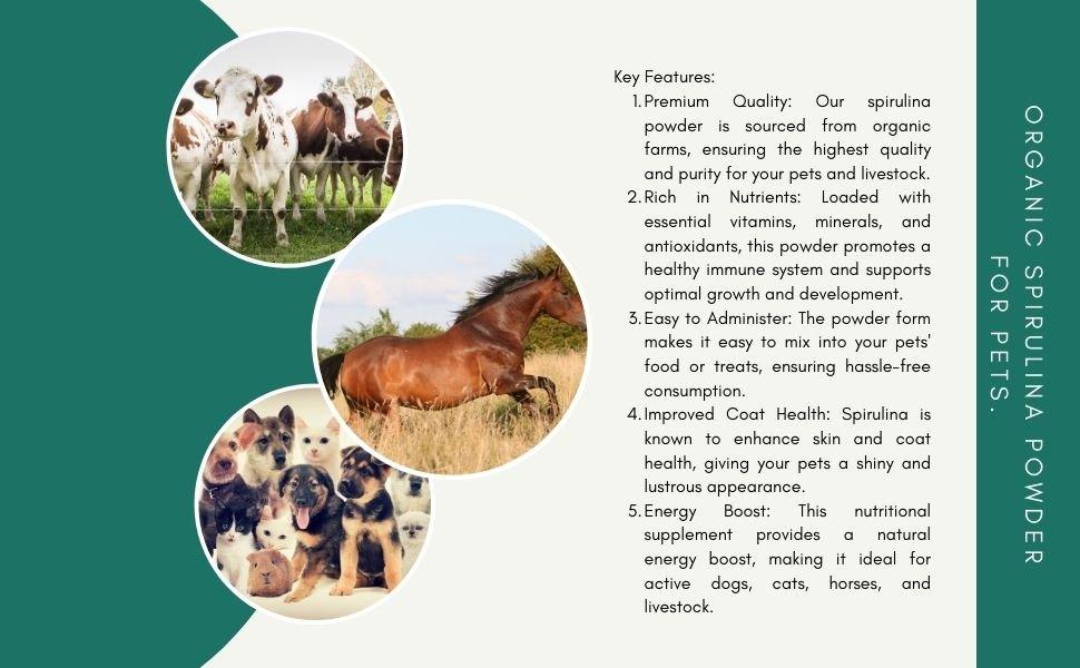 Benefits of organic spirulina powder supplement for dogs cats horses and livestock supporting immunity energy and coat health