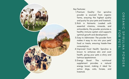 Benefits of organic spirulina powder supplement for dogs cats horses and livestock supporting immunity energy and coat health