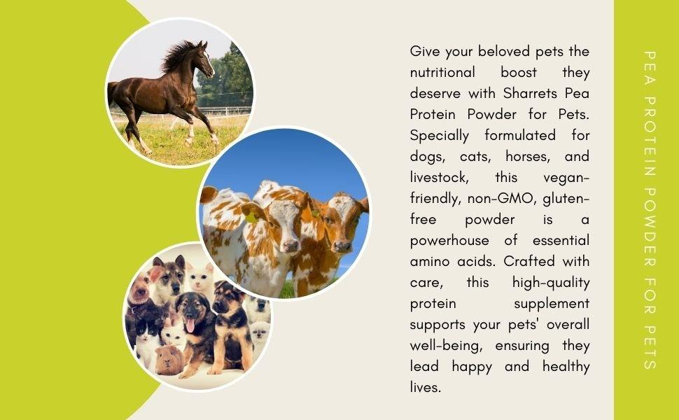 Pea protein powder supplement for dogs cats horses and livestock plant based animal nutrition support