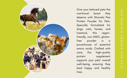 Pea protein powder supplement for dogs cats horses and livestock plant based animal nutrition support
