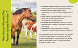 Natural Pea Protein Supplements for horses