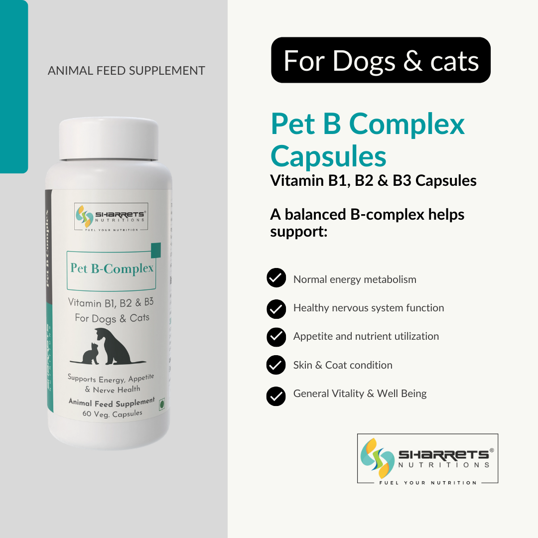 Pet B Complex Capsules for dogs and cats by Sharrets Nutritions on a white background