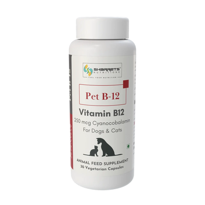 A white plastic bottle of Sharrets  Nutritions Pet B-12 Vitamin B12 animal feed supplement, featuring a white cap and a white label with red and black text and graphics.