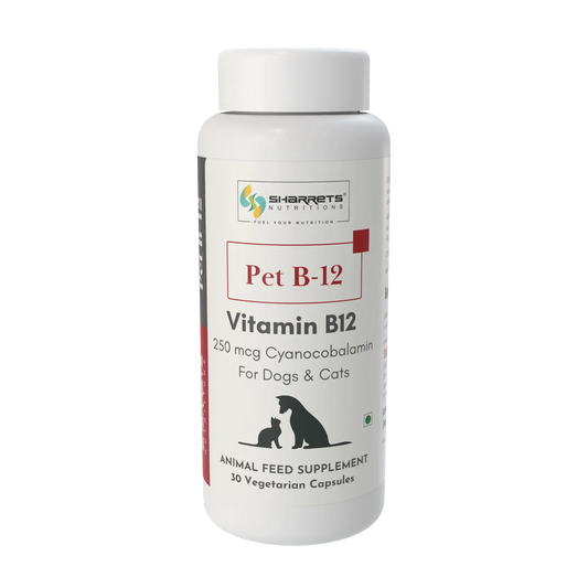 A white plastic bottle of Sharrets  Nutritions Pet B-12 Vitamin B12 animal feed supplement, featuring a white cap and a white label with red and black text and graphics.